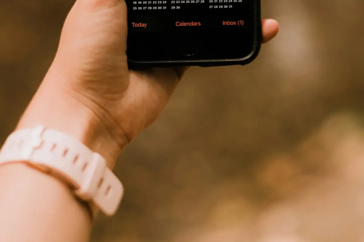 Jak zachowują się klienci w Toruniu?